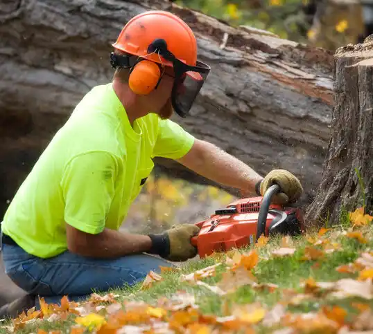 tree services Cold Springs